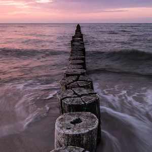 美女裸体被日网站
